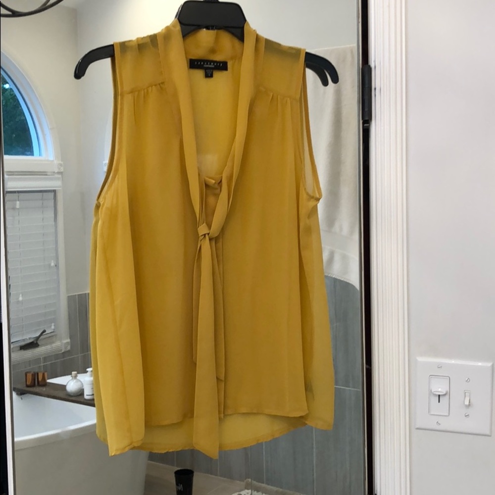Sanctuary sheer top